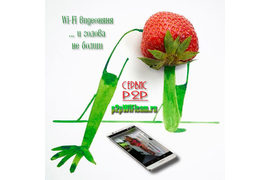 Он-лайн магазин беспроводных технологий видеонаблюдения с сервисом p2p p2pWiFicam.ru