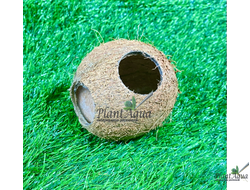 FF Cocos Cava 1/1SM - Укрытие декоративное из кожуры кокоса 6-10 см (целый)