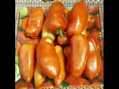 Томат Андине корну (Andine  Cornue)