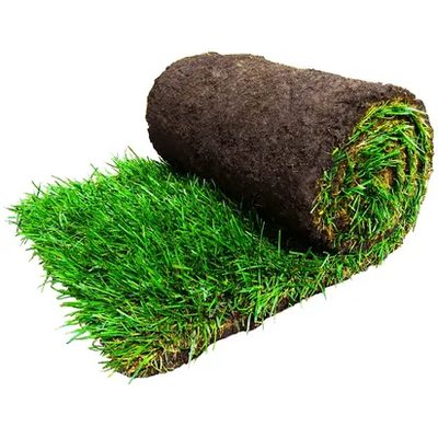 Рулонный газон "Стандарт"