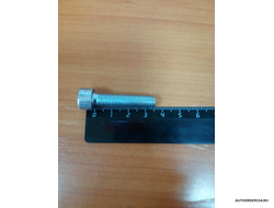 Болт М8*1,25*35 под внутренний шестигранник (цена за 20 шт.)