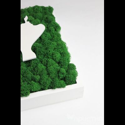 ЖИВАЯ ЭКО-КАРТИНА 07 - ДЕНЬ ВЛЮБЛЕННЫХ