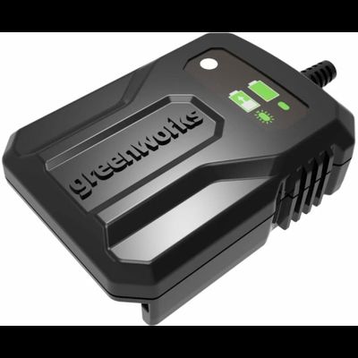 Зарядное устройство Greenworks G40UCM2M 2A