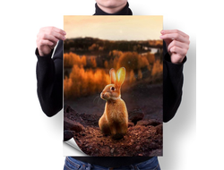 Плакат год Кролика №14