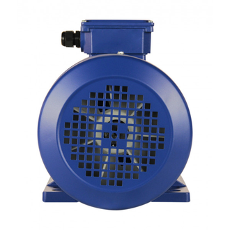 Электродвигатель 5АИ 100S4 (3 кВт) IM 1081