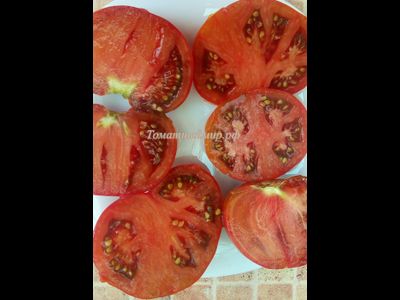 Томат Шоколадная амазонка (Amazon Chocolate, США)