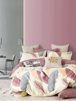 Постельное белье TANGO Twill комплект сатин евро 200x220x1 230x250x1 50x70x2 TPIG3-1832