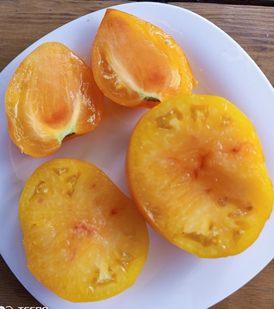 Томат Волшебные шляпы тетушки Гретель (Tante Gretels magische Hute)