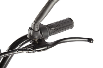 Электровелосипед GREEN CITY e-ALFA Fat 24/3, черный