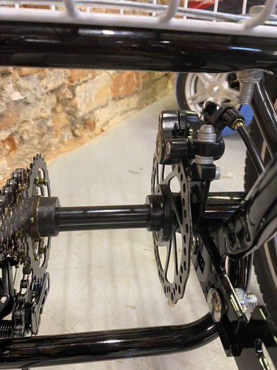 Электровелосипед трехколесный Etoro Turino Disc 350