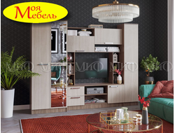 Флора Гостиная (ясень шимо темный/ясень шимо светлый)