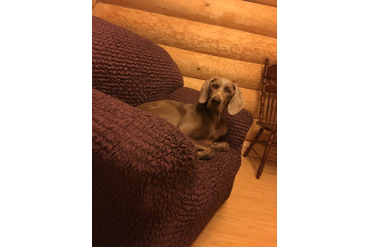 ЧЕХОЛ НА КРЕСЛО МИКРОФИБРА КАКАО