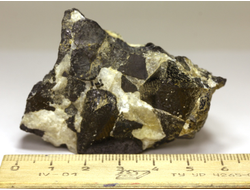 Магнетит, сросток кристаллов, Мурманская обл., Ковдор (55*42*43 мм, 177 г) №8366