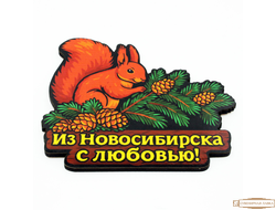 магнит цветной с любовью из Новосибирска