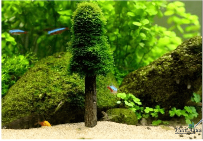 Декорация для мха Christmas Tree (дерево)