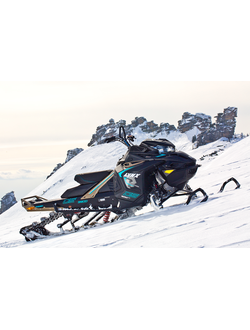 Копия заводских наклеек Lynx BOONDOCKER DS 3900 2017#3023