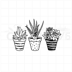 ФП штамп "Кактусы 3"