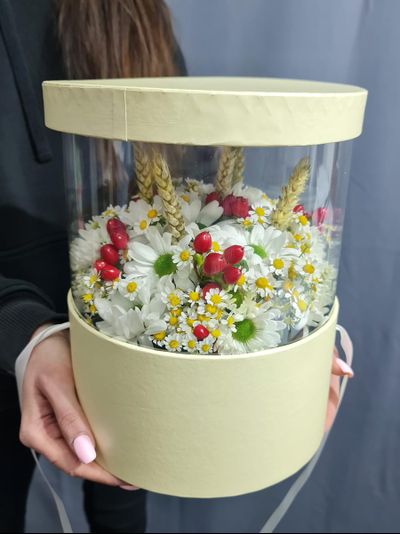 Коробка ромашек с бабочкой №33