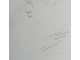 "Женский портрет" бумага уголь Тимкина Т.Е. 1980-е годы