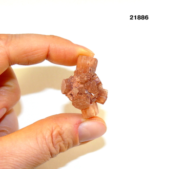 Арагонит натуральный (кристалл) арт.21886: 10,6г - 30*22*18мм