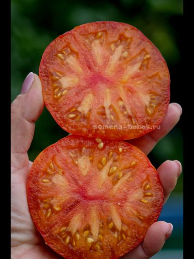 Томат Strangelove (Странная Любовь), 10 шт