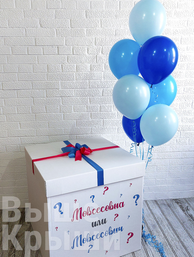 Сет с коробкой "Мальчик или Девочка" (7 шариков)