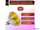 Muller Licht HLRG-520FG/Gold BAB/C 20w 12v 36° GU5.3
