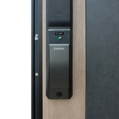 Стальная дверь   Слэб. Заказная модель.