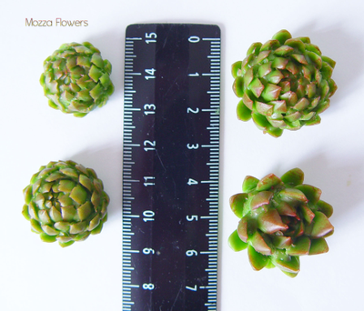 Молд "Суккуленты"