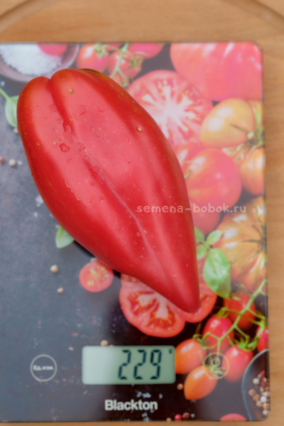 Томат Тюльпан Розовый, 5 шт