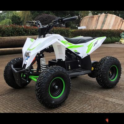 Электроквадроцикл Motax GEKKON 1300W белый