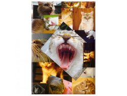 Обложка для паспорта Фото кошек