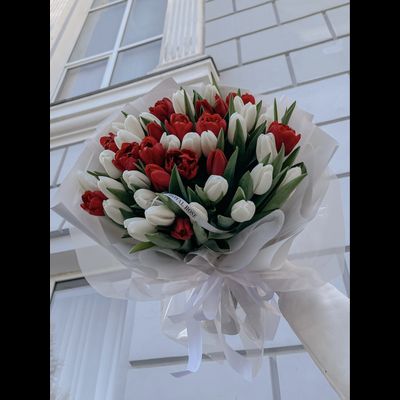 Красные тюльпаны "Поцелуй весны" 35