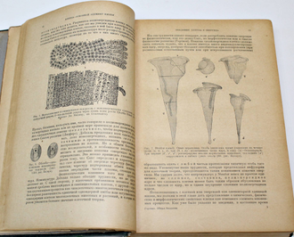 Гартман М. Общая биология. М.-Л.: Медгиз, 1936.