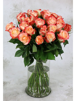 Букет 25 кремово-коралловых роз