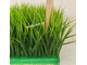 Искусственная трава Осока M  № Т014