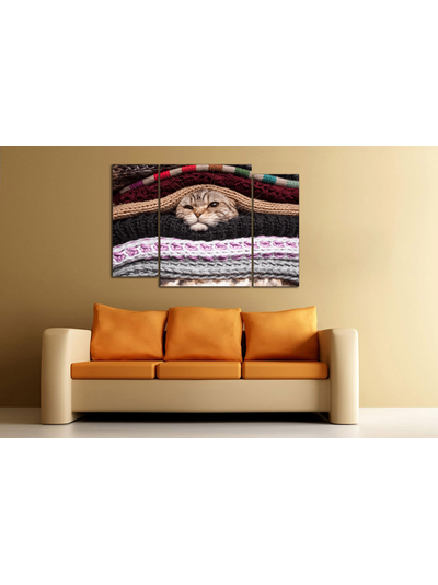 Модульная картина "Кот в тепле"