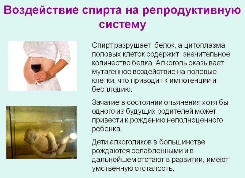 Алкоголь и репродуктивная система