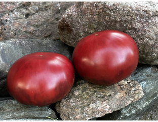 Темноплодные сорта томатов - Фиолетовый мятный