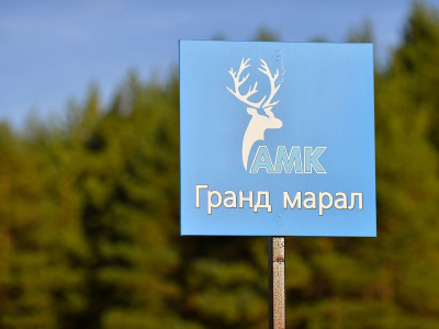 2025г. Спасск "Сафари-тур к маралам"