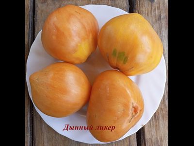 Томат Дынный ликер