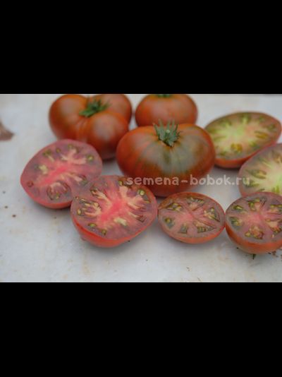 Томат Dwarf Maura’s Cardinal (Гном Кардинал Маура), 10 шт