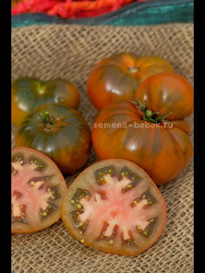 Томат Dwarf Chocolate Champion (Гном Шоколадный Чемпион), 10 шт