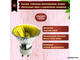 Muller Licht JDR-C-GU/550Y 50w 230v 50° GU10 Yellow