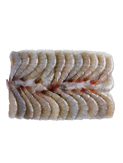 Креветка королевская с/м, в панц., б/г,. Блок 1,8 кг. размер 21/25.