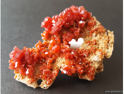 Ванадинит на породе. Марокко. 56*36*14 мм