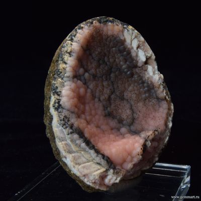 Родохрозит  в полости ракушки. 58*47*23мм