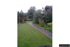 Укладка газона