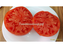 Томат Ливанские горы (Libanaise des Montagnes), США