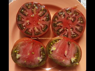 Томат Гном Тасманский шоколад (Dwarf Tasmanian Chocolate)